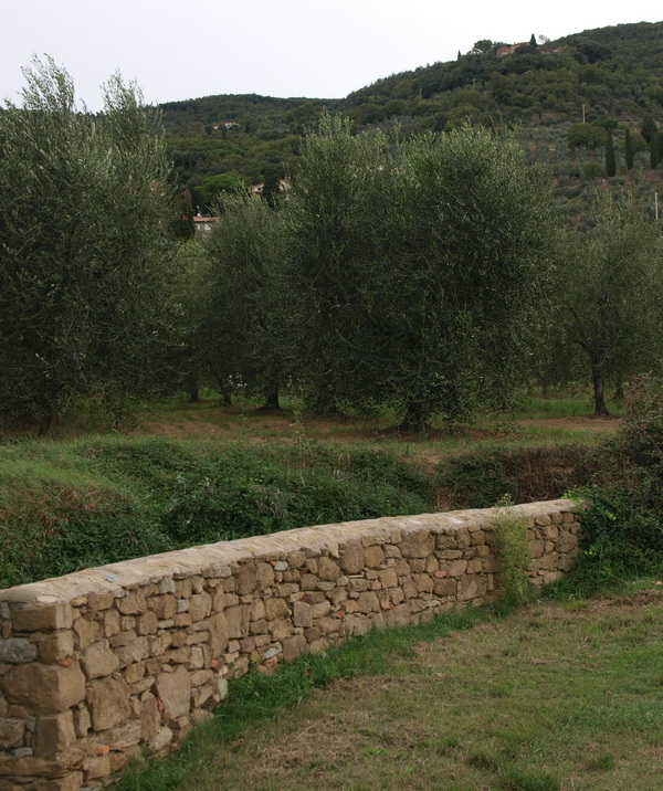 Weingut St. Stefano, Olivenhain