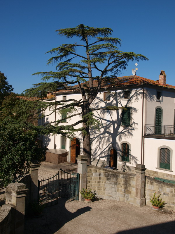 Weingut Famiglia Buccelletti