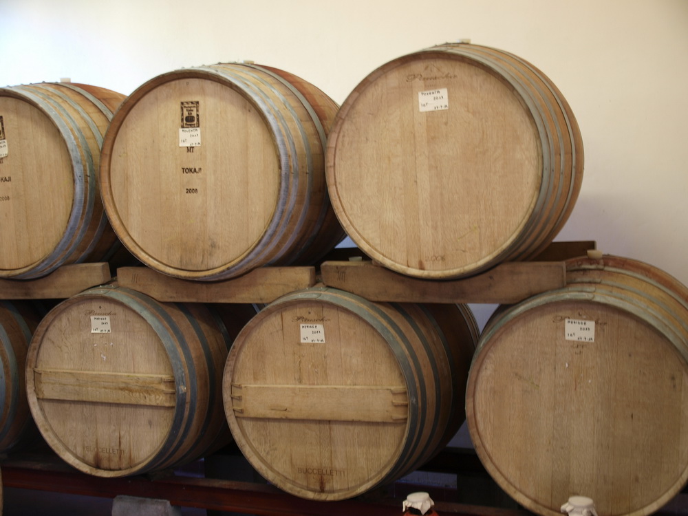 Weingut Famiglia Buccelletti, Weinkeller