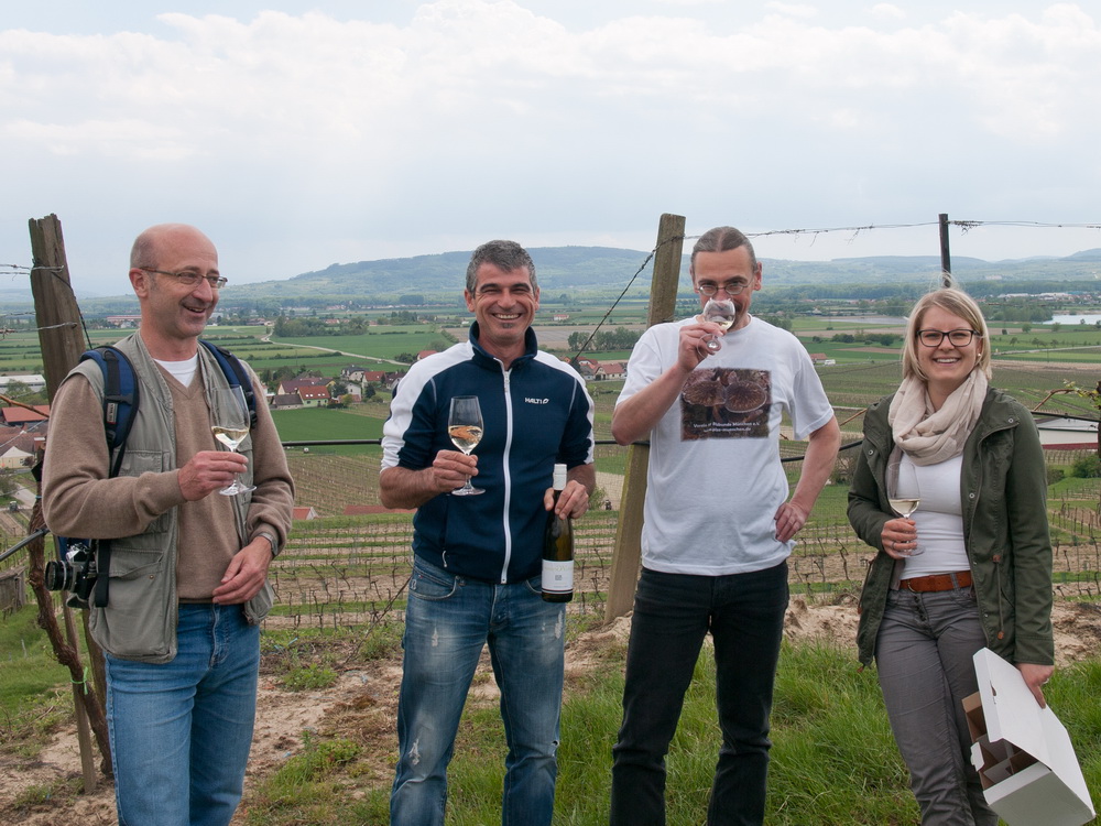 Weingut Winkler, Weingärten