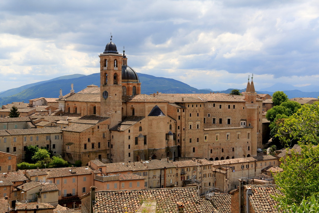 Urbino