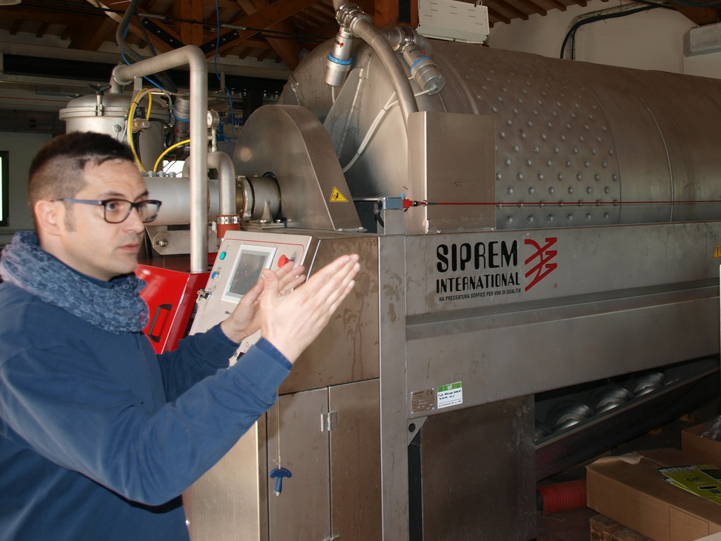 Conventino di Monteciccardo, Weinkeller