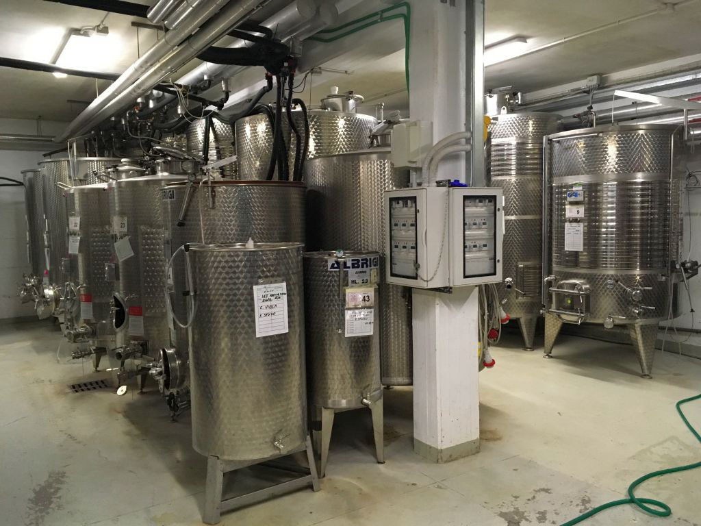 Conventino di Monteciccardo, Weinkeller