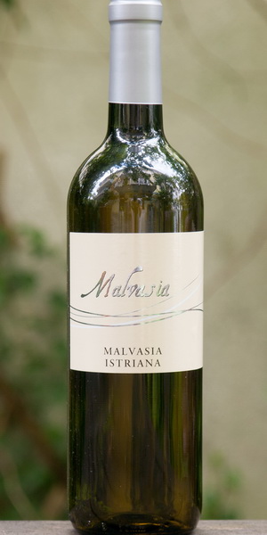 Malvasia Istriana, Riz