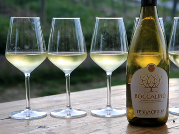 Weingut Terracruda, Boccalino